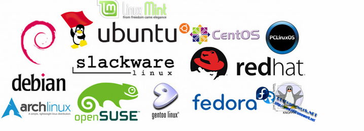 常用linux命令，开发必备-速收藏