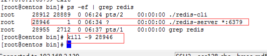 linux系统下安装redis以及java调用redis
