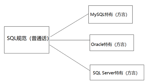 SQL语言概述