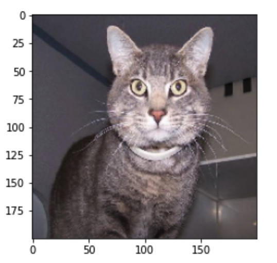 Keras深度学习使用VGG16预训练神经网络实现猫狗分类