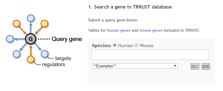 TRRUST:人和小鼠的转录因子调控网络数据库