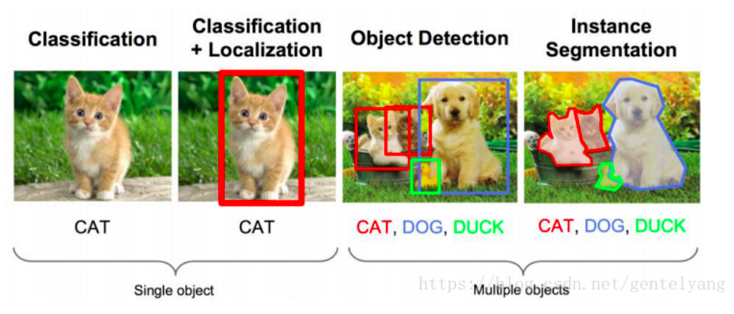 目标检测 Object Detection