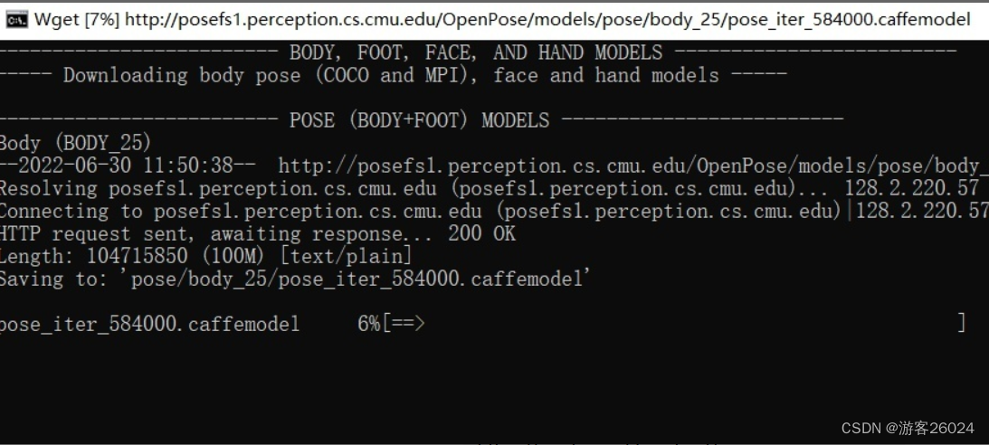 3D视觉——2.人体姿态估计(Pose Estimation)入门——OpenPose含安装、编译、使用（单帧、实时视频）