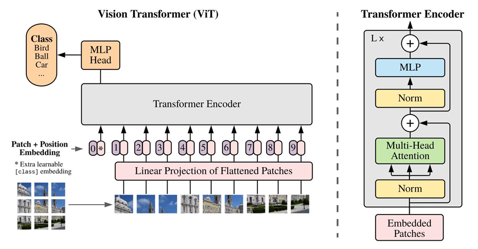 【论文笔记】An Image is Worth 16x16 Words: Transformers for Image Recognition at Scale (ViT)