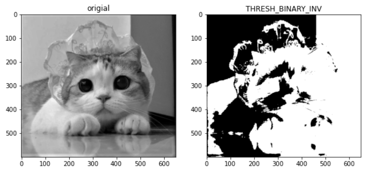 Opencv图像处理 图像噪点与降噪 形体学变换