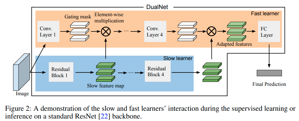 Raki的读paper小记：DualNet: Continual Learning, Fast and Slow