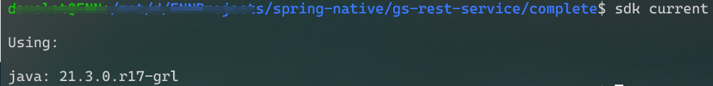 尝试官方的第一个SpringNative 0.11程序（WSL2）