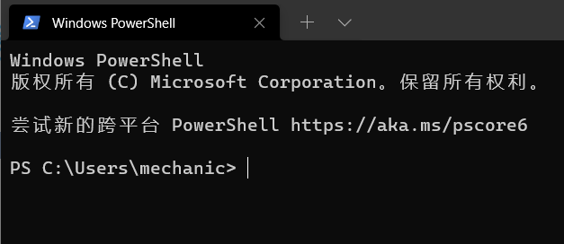 Windows Terminal 配置oh-my-posh主题 记录