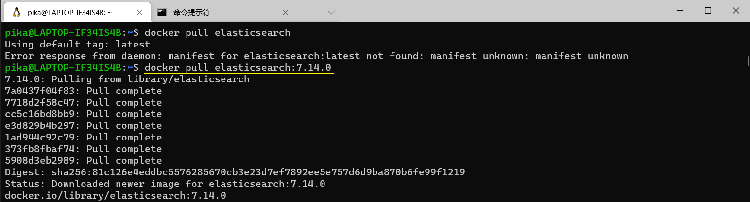 Docker 安装 ElasticSearch 及失败解决方法[Ubuntu 20.04]