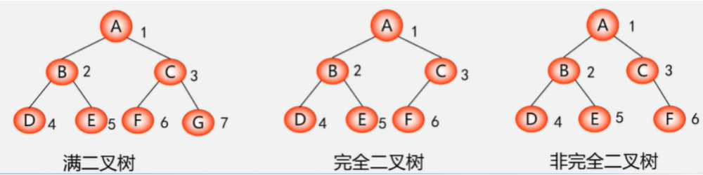 数据结构与算法---树的学习