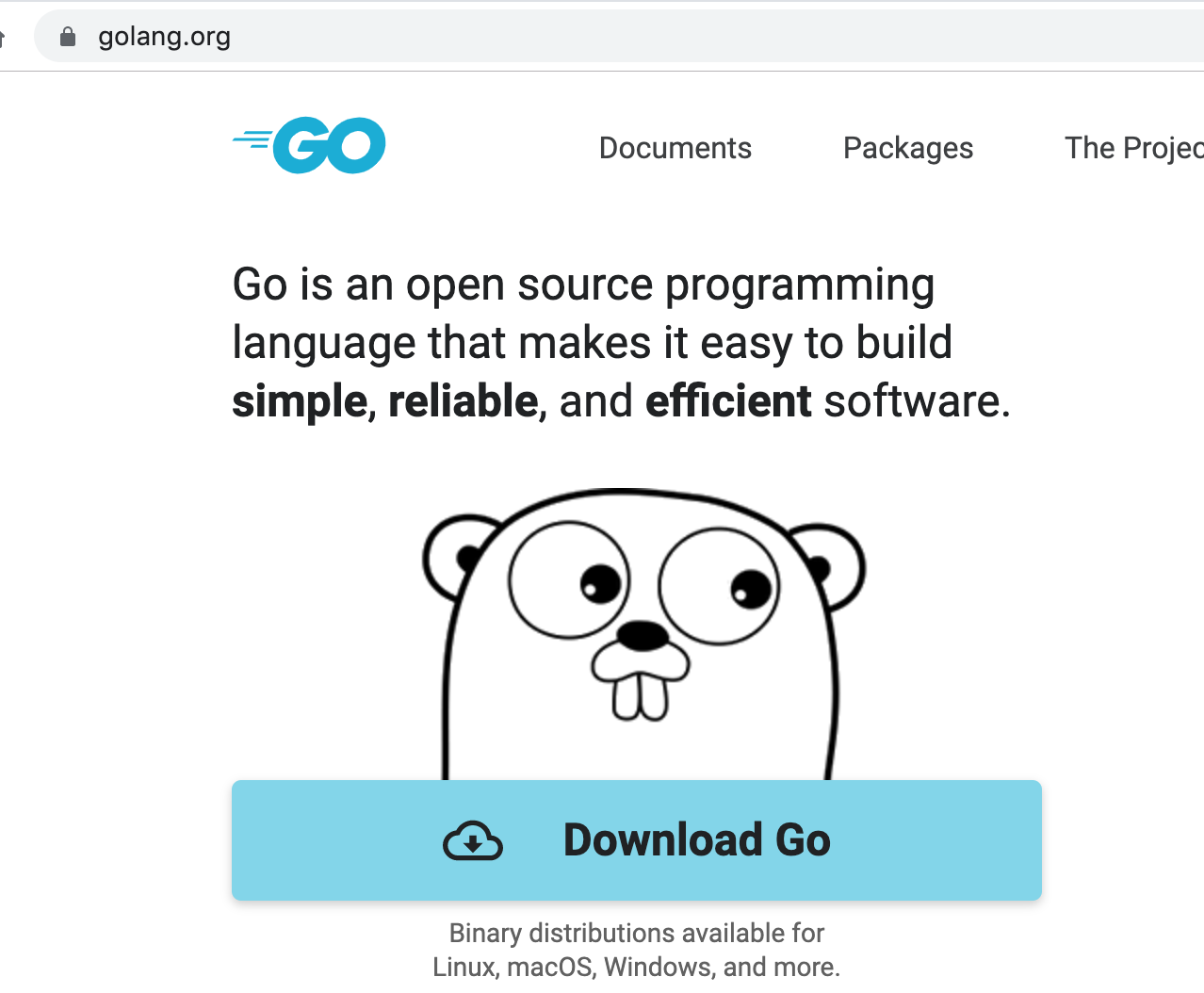 Go语言Hello world(GOPATH和Go Module版)