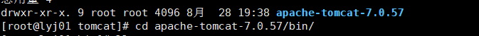 Linux上安装并启动tomcat