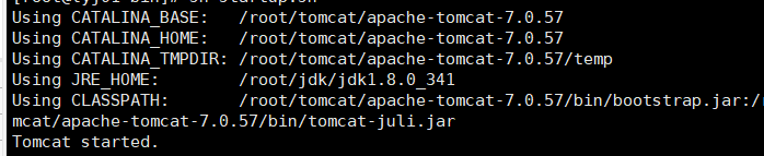 Linux上安装并启动tomcat