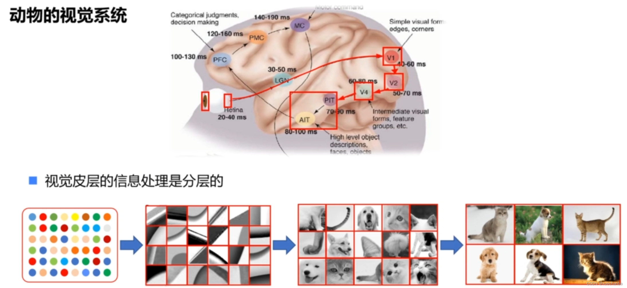 卷积神经网络 —— 图像识别与深度学习