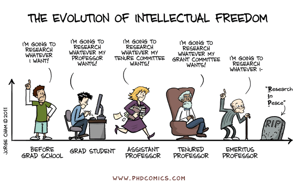 THE EVOLUTION OF INTELLECTUAL FREEDOM; 