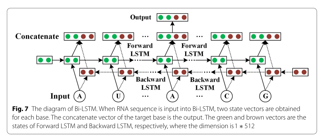 基于双向 lstm 和残差神经网络的 rna 二级结构预测方法