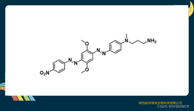 暗猝灭剂BHQ-2 氨基，BHQ-2 amine，CAS：1241962-11-7