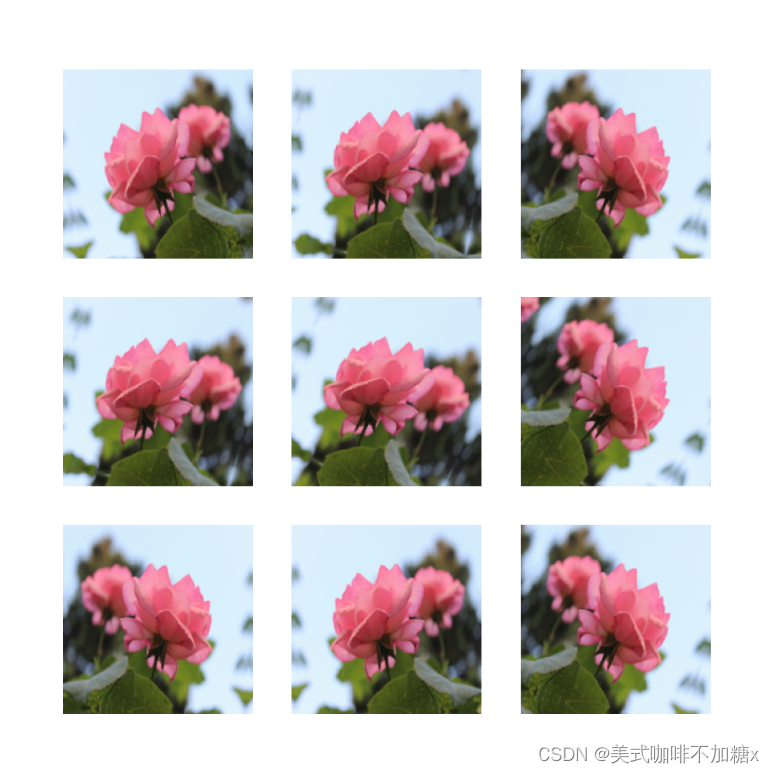 05-图像分类（含有3700张鲜花照片的数据集）