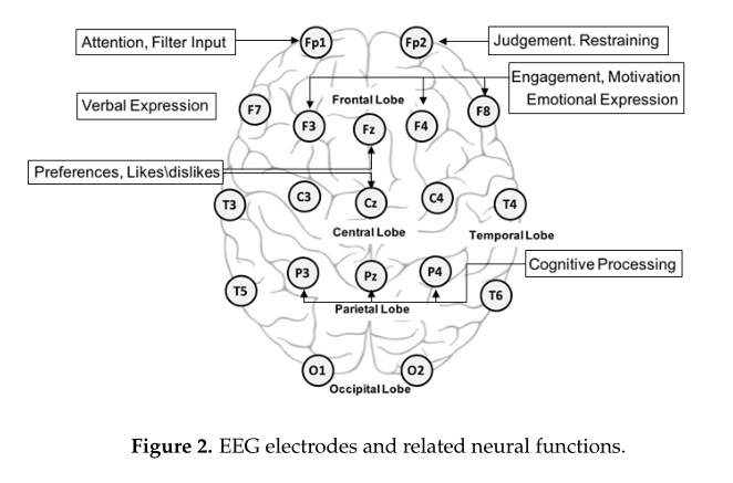 Deep Learning for EEG-Based Preference Classification in Neuromarketing文章精读导读，深度学习在神经营销中基于脑电的偏好分类