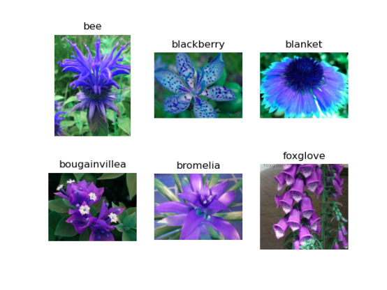 花卉识别(tensorflow)