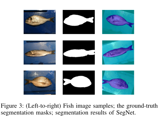 论文翻译：用于鱼类分割和分类的大规模数据集