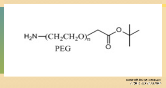 线性杂双功能PEG试剂NH2-PEG-COOtBu,COOtBu-PEG-amine,氨基peg叔丁酯