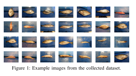 论文翻译：用于鱼类分割和分类的大规模数据集