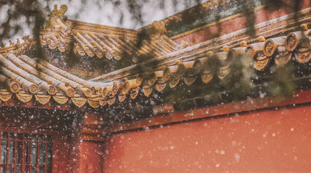 【故宫，下雪了】一夜醒来，故宫完成秋冬交接，来自北方的故事纷纷踏雪而来（内含多份源码）