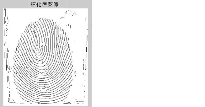 【老生谈算法】基于matlab指纹识别系统设计与算法原理详解（论文+程序源码）——指纹识别